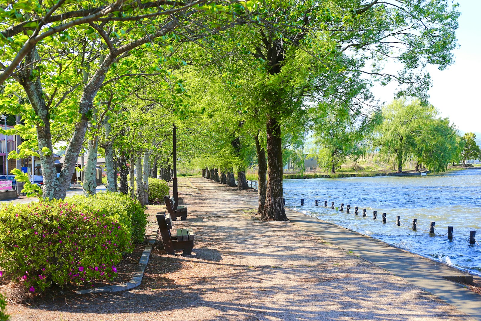 brown wooden bench near body of water